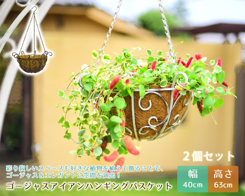 ゴージャスアイアン ハンギングバスケット 【お得な2個セット
