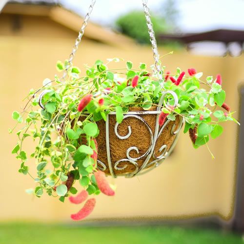 プランター スタンド 鉢植 花 植物 ガーデンガーデン